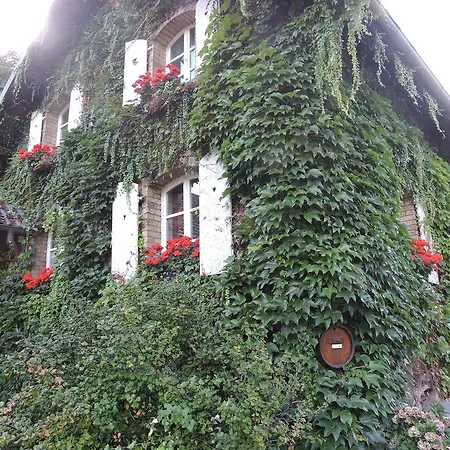 Gîte de l'Ancienne Scierie Andlau Extérieur photo